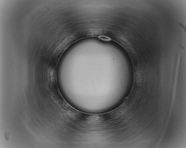 X0000101230123200807111129