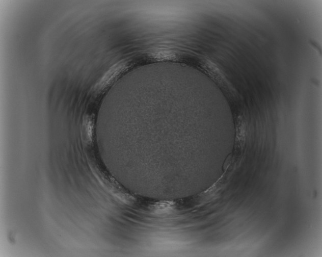 X0000101230124200807111129