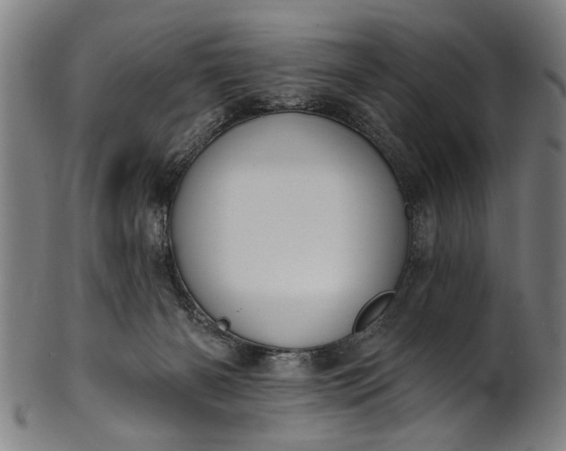 X0000101230126200807111129