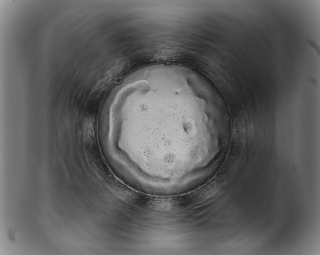 X0000101230127200807111129