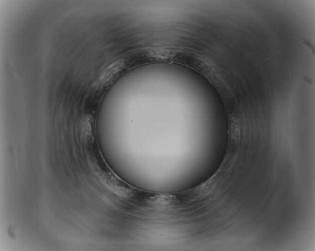 X0000101230128200807111129