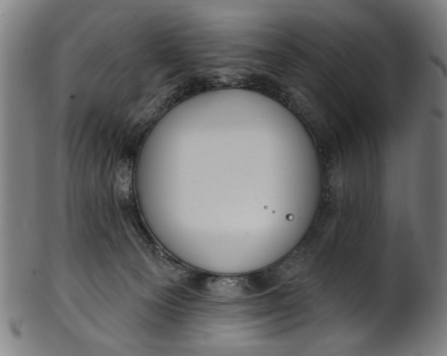 X0000101230129200807111129