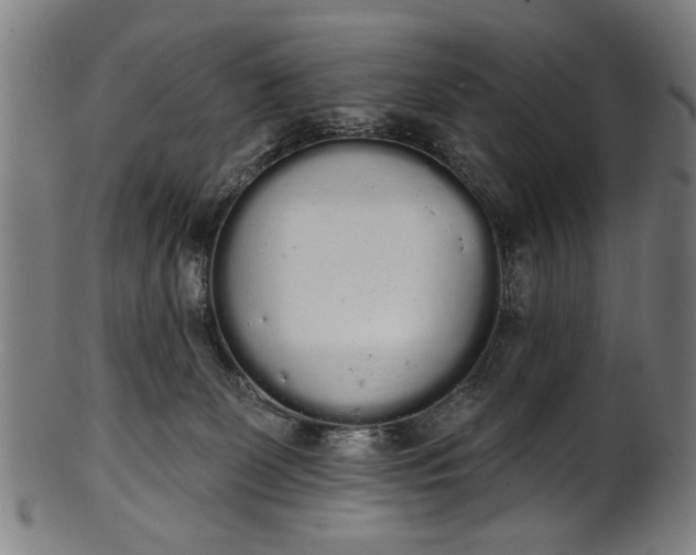 X0000101230131200807111129