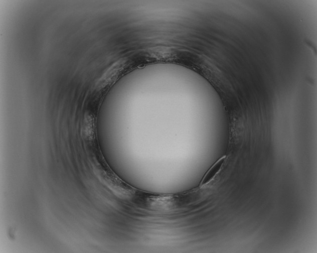 X0000101230132200807111129