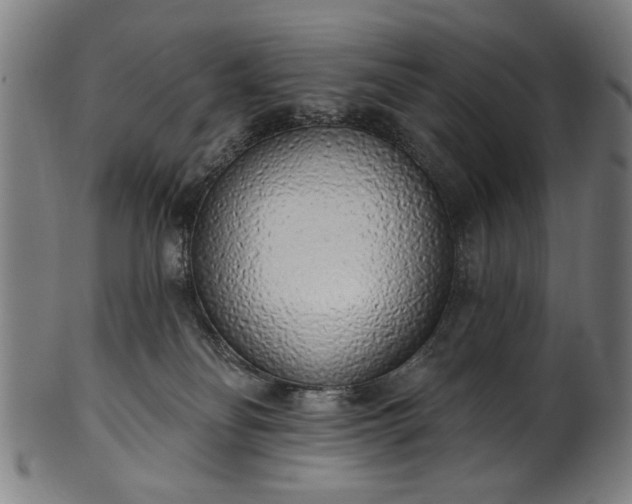 X0000101230134200807111129