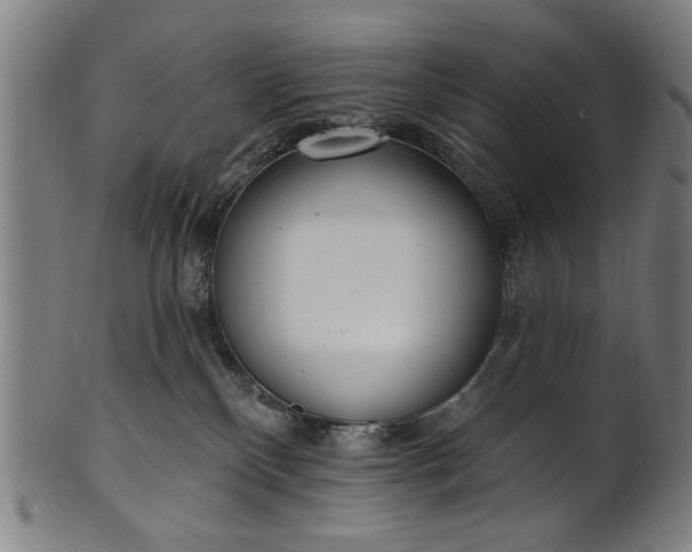 X0000101230136200807111129