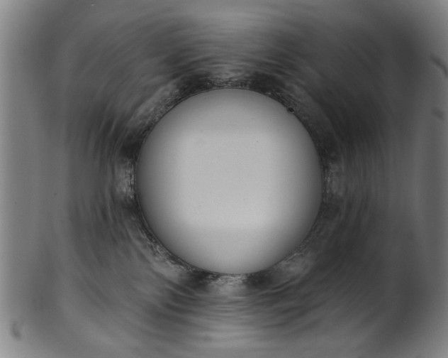 X0000101230138200807111129