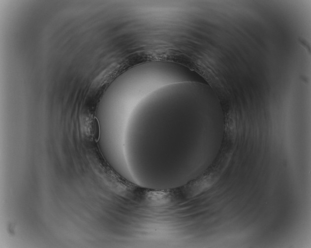 X0000101230139200807111129