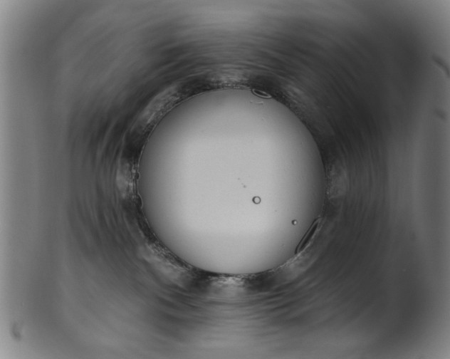 X0000101230140200807111129