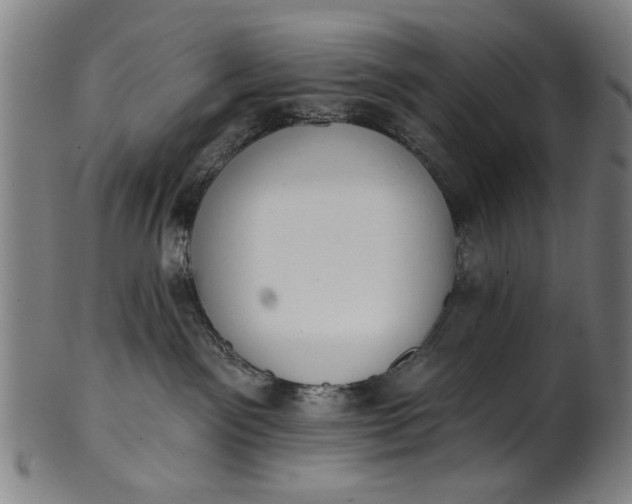 X0000101230141200807111129