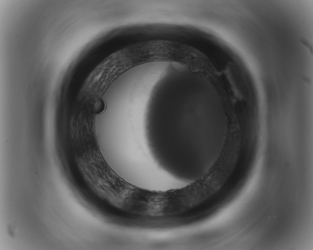 X0000101230143200807111129