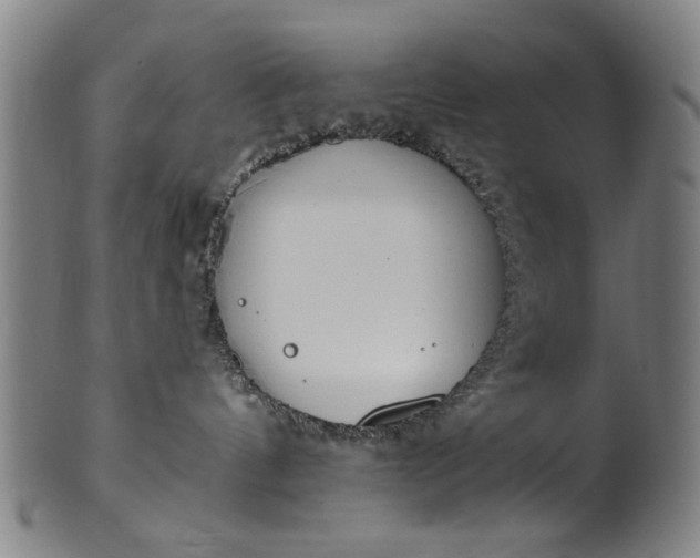 X0000101230144200807111129