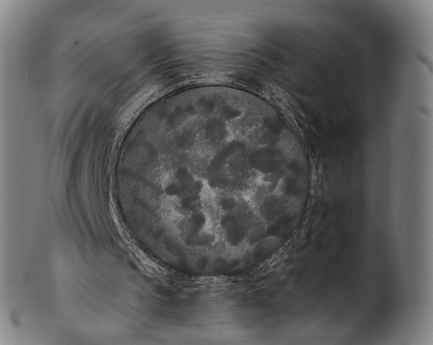 X0000101230145200807111128