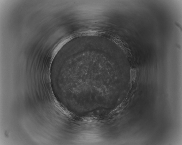 X0000101230147200807111128