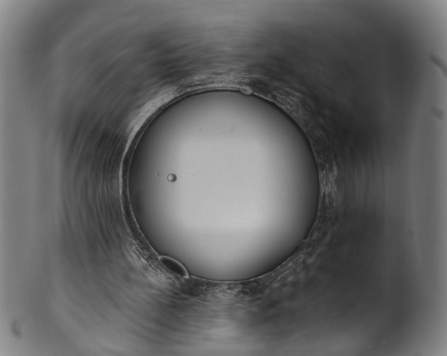 X0000101230148200807111128