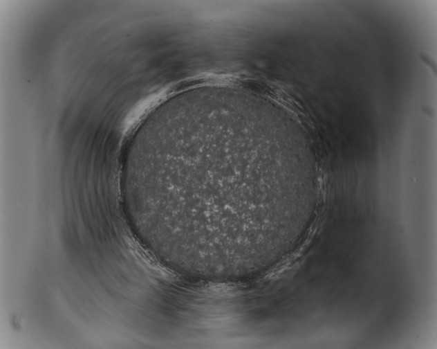 X0000101230149200807111128