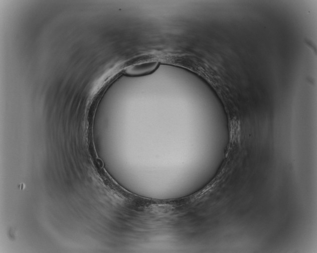 X0000101230150200807111128