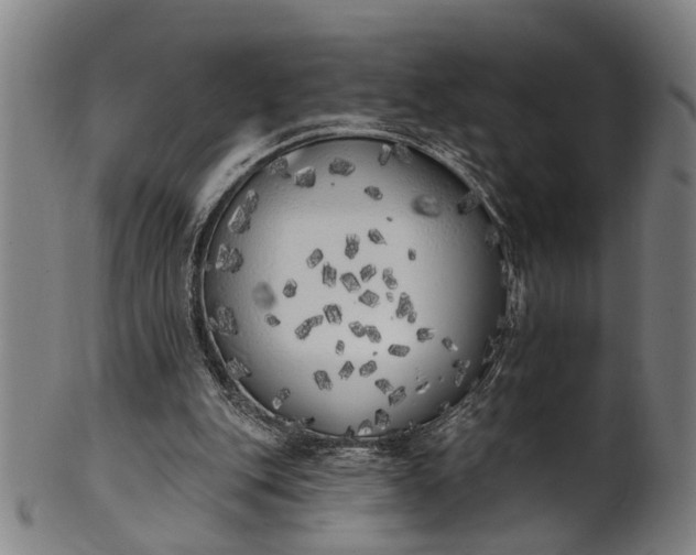 X0000101230151200807111128