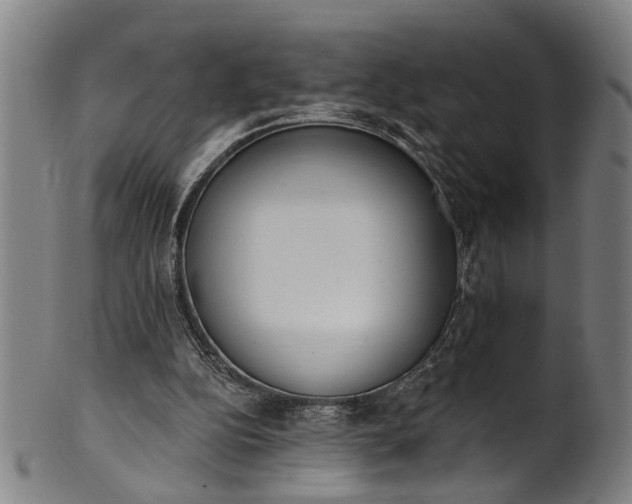 X0000101230152200807111128