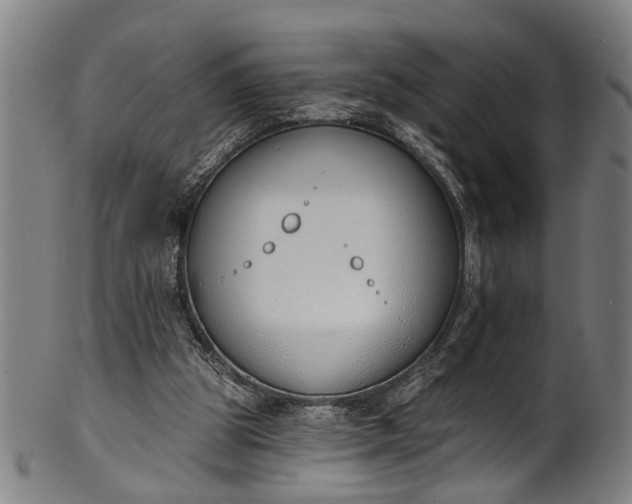 X0000101230153200807111128