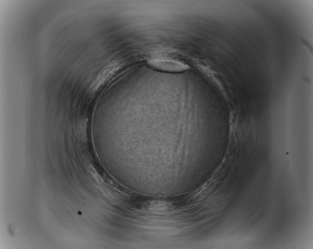 X0000101230154200807111128