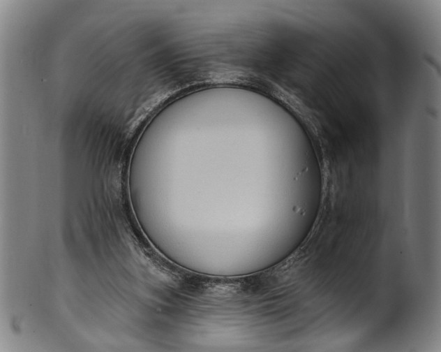 X0000101230155200807111128