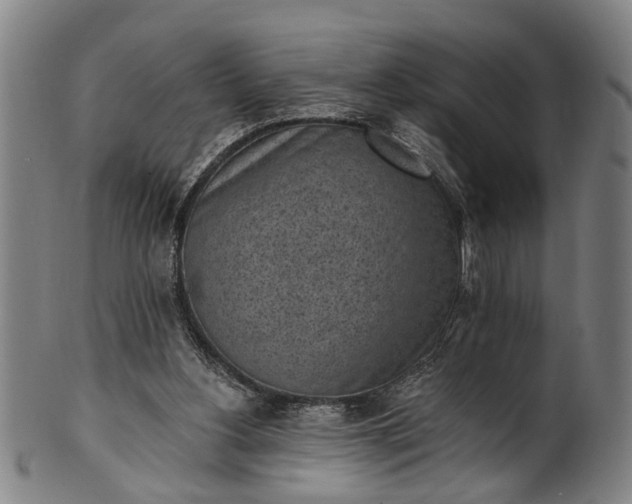 X0000101230156200807111128