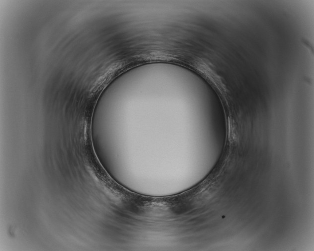 X0000101230157200807111128