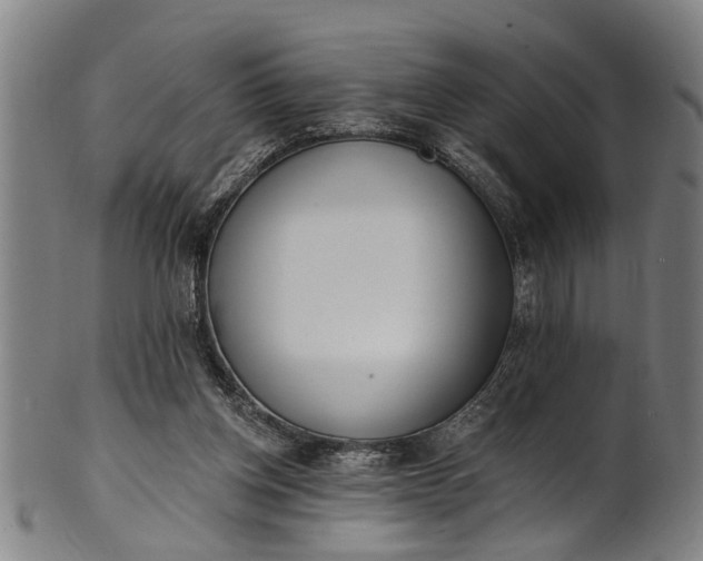 X0000101230158200807111128