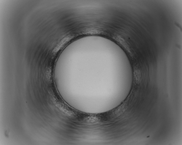 X0000101230159200807111128