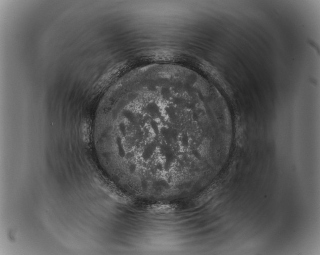 X0000101230161200807111128