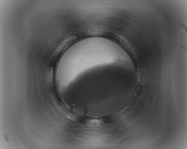 X0000101230163200807111129