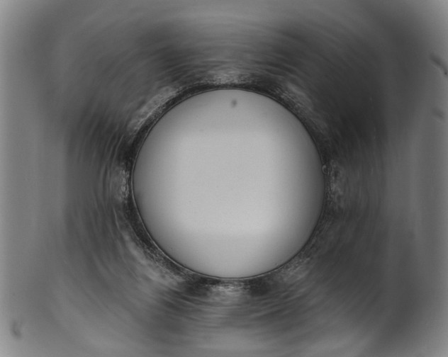 X0000101230164200807111129