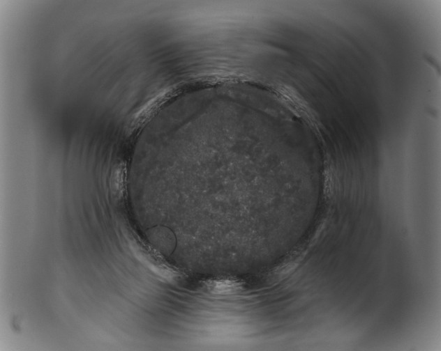 X0000101230165200807111129