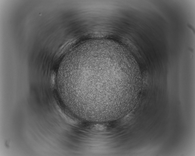 X0000101230166200807111129