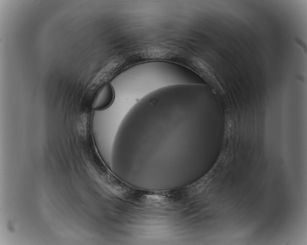 X0000101230167200807111129