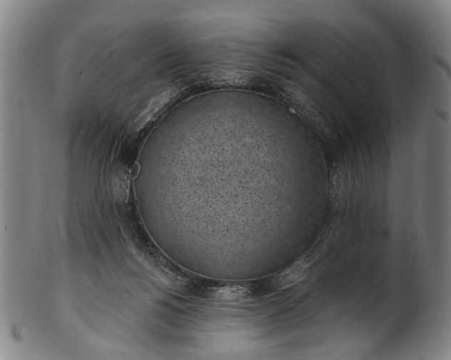 X0000101230168200807111129