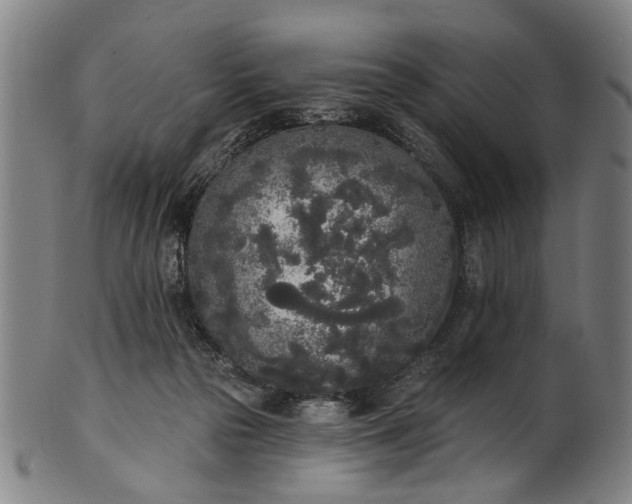 X0000101230169200807111129