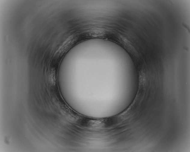 X0000101230170200807111129