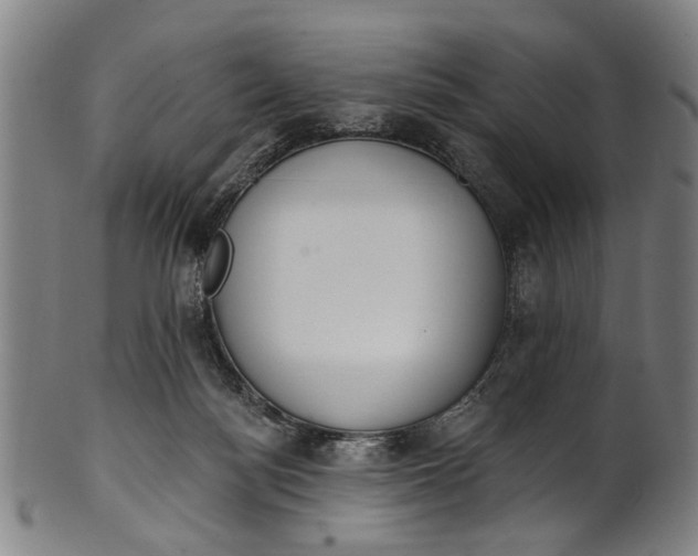 X0000101230172200807111129