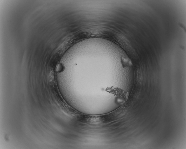 X0000101230173200807111129