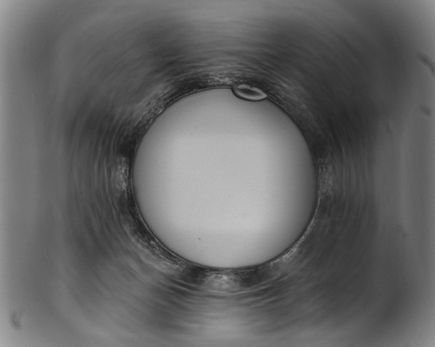 X0000101230174200807111129