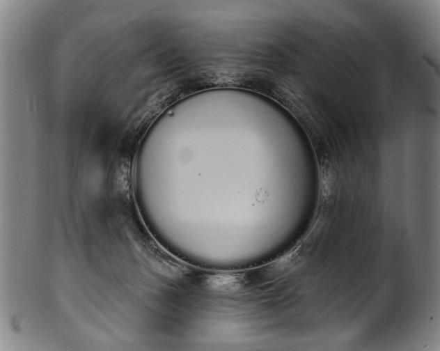 X0000101230175200807111129