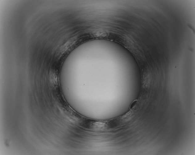 X0000101230176200807111129