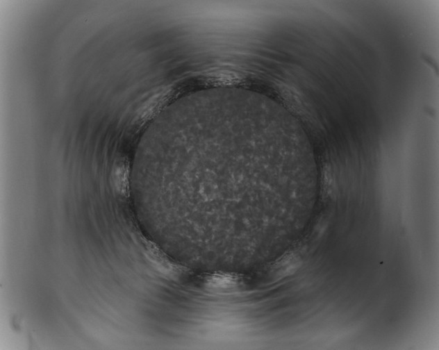 X0000101230177200807111129