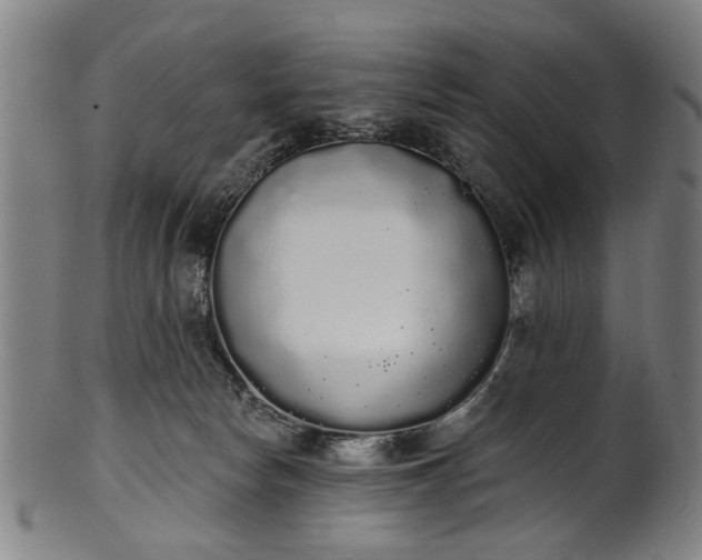 X0000101230178200807111129