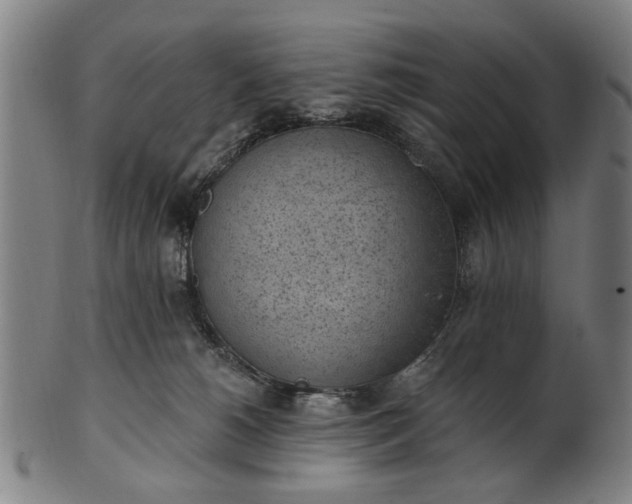 X0000101230180200807111129