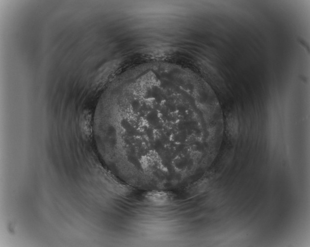 X0000101230181200807111129