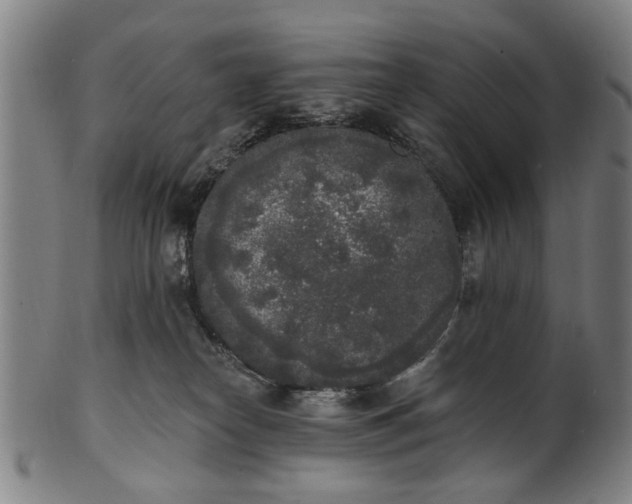 X0000101230182200807111129