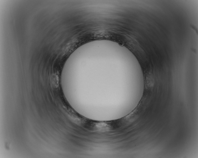 X0000101230183200807111129